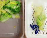 白菜の浅漬 パテモソ流作り方4写真