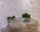 鯉の生春巻き作り方7写真