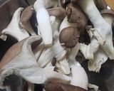 牛肉とヒラタケのスパイスカレー作り方3写真