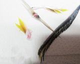 へだいの鯛めし、簡単うまし作り方3写真