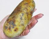 幻のフルーツ ポポー作り方1写真
