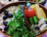 白菜と海苔のゴマ和え作り方6写真