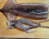 イカと九条ネギのぺったんこ焼き作り方2写真