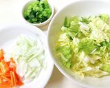 離乳食☆野菜たっぷり！しらす入りうどん作り方3写真
