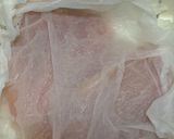 レンジで2分！鶏むね肉の蒸し鶏のストック作り方2写真