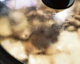 マッシュルームで♪出汁うま肉豆腐作り方8写真
