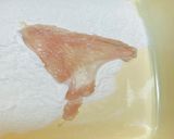 米粉を使って、鶏皮おつまみ！作り方4写真