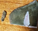 エイ(カスベ、ゴンタ、バリ)の煮付け作り方1写真