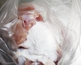 米粉でカリカリチキンと焼き野菜サラダ♪作り方1写真