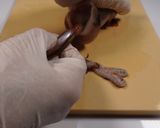 簡単、美味しい♫ イカの炊き込みご飯作り方3写真