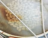 大豆といりこの香り揚げ作り方2写真