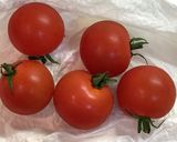ミニトマトのマリネがドレッシングソースに作り方1写真