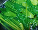 中華風和え物♡ほうれん草のサラダ作り方15写真