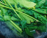 中華風和え物♡ほうれん草のサラダ作り方14写真