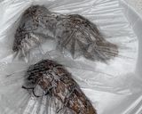 レンジで簡単下処理！里芋のかば焼き丼作り方1写真