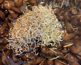 茄子の佃煮作り方7写真