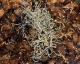 茄子の佃煮作り方8写真