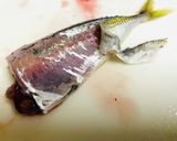 【小アジ】やってみたくなる簡単捌き作り方10写真