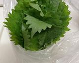 我が家の大葉保存方法作り方2写真