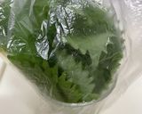 我が家の大葉保存方法作り方3写真