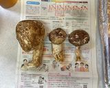舞茸と銀杏の炊き込みご飯作り方13写真