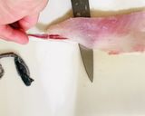 【カンパチ】捌いてみた作り方13写真