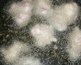 カリ!ふわ!豚こまのレモンマヨソース☆作り方6写真