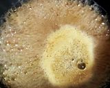 【スープ食】イワシ缶と卵でつゆだくだく丼作り方1写真