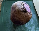 ビーツの甘酢漬け作り方1写真