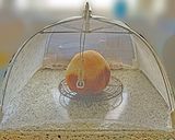 米粉プラスアルファ | プレミアム食パン作り方5写真