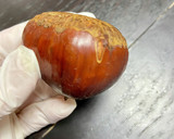 ‎✿百年栗の渋皮煮‎✿鬼皮むき方説明付き作り方3写真