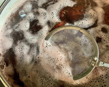‎✿百年栗の渋皮煮‎✿鬼皮むき方説明付き作り方9写真