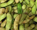 今が旬！丹波の黒豆の枝豆の美味しい食べ方作り方2写真