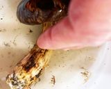 白だしで松茸ごはん作り方2写真