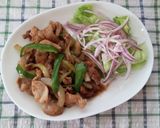 1人前豚こま肉100gで！生姜焼♪作り方1写真