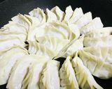 我が家のブレない1 : 5の餃子〜作り方7写真