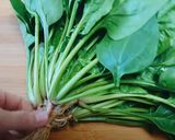 中華風ほうれん草のトマトスープ仕上げ♡作り方1写真
