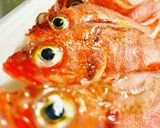 【カサゴ】捌いてみた作り方1写真
