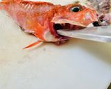 【カサゴ】捌いてみた作り方3写真