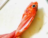 【カサゴ】捌いてみた作り方6写真