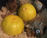 サバ缶とみかんの炊き込みご飯？！作り方4写真