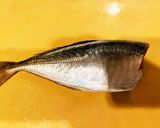 釣ってきた魚で鯵フライ作り方2写真