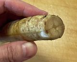 ★常備菜★たたき牛蒡風味の具沢山きんぴら作り方8写真
