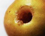 梨のコンポート作り方1写真