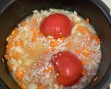 離乳食用トマトライス作り方3写真
