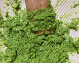 柚子こしょう作り方6写真