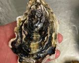 殻付き牡蠣の白ワイン蒸し作り方3写真