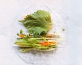 野菜がもりもり生春巻き作り方5写真