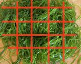 切り昆布・さつまいもの煮物♪作り方3写真