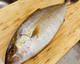 秋が旬 カンパチの刺身 旬の魚の捌き方作り方1写真